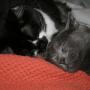 Susan Collier Photo 38