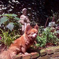 Peggy Conner Photo 33