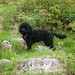 Charles Delaney Photo 9