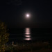 Bruce Luna Photo 3