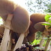 Deborah Gill Photo 7