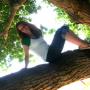 Kelly Boyer Photo 17