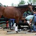 Donna Travers Photo 12