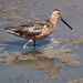 Bill Devereux Photo 11