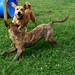 Archie Spencer Photo 6