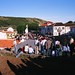Albino Fernandes Photo 7