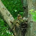 Debbie Burton Photo 15