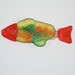 Ray Fish Photo 10