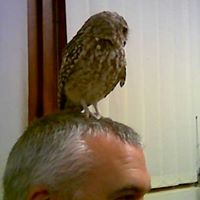 Kevin Parr Photo 32