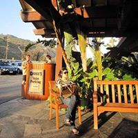 Min Yoo Photo 38