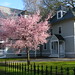 Clark Bloom Photo 2