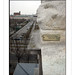 Chris Friedrichs Photo 10