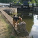 Lea Dooley Photo 5