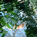 Rose Mcneely Photo 6