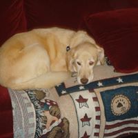 Kathleen Byrd Photo 39
