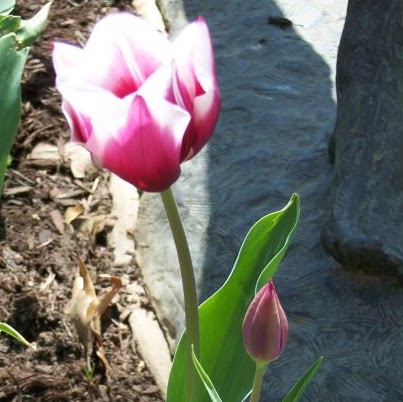 Beth Skinner Photo 35