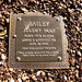 Holt Bailey Photo 4