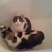 Toby Waters Photo 5