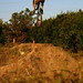 Gabor Baranyai Photo 5