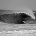 Steve Marinos Photo 3