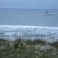 Kim Lewis Photo 20