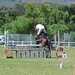 Ellen Gill Photo 6