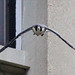 Jim Towers Photo 13