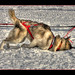 Karen Hurt Photo 8