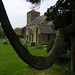 Mary Johns Photo 2