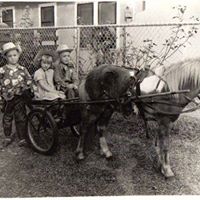 Judy Sauer Photo 13