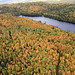 Tammy Mckay Photo 7