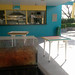 Sylvia Paredes Photo 9