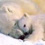 Angie Link Photo 29