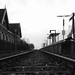 Alex Anderes Photo 7