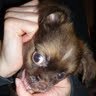 D N Photo 16
