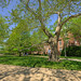 Gregory Hall Photo 21