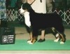 Kelly Weir Photo 13