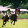 Willy Johnson Photo 40