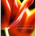 David Rhyner Photo 4