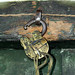 Jaswant Rai Photo 5