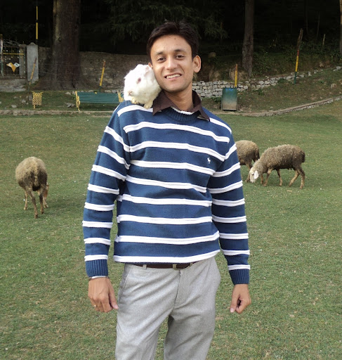 Manish Pathania Photo 19