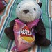 Shelly Walker Photo 1