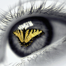 Maria Camargo Photo 15