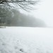 Misty Green Photo 10