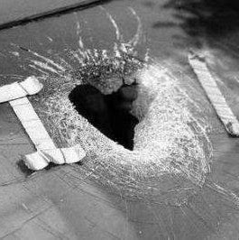 Tarek Elgabry Photo 8