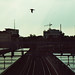 Donald Freed Photo 12