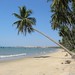 Thuan Phan Photo 10