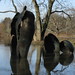 Linda Cunningham Photo 5