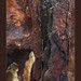 Rusty Fife Photo 5