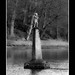 William Kerr Photo 32